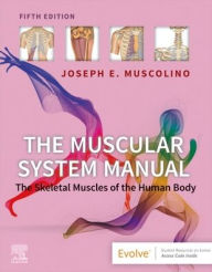Bestseller ebooks free download The Muscular System Manual: The Skeletal Muscles of the Human Body in English