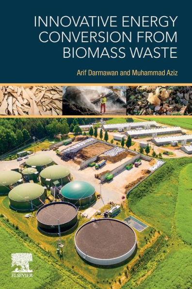 Innovative Energy Conversion from Biomass Waste