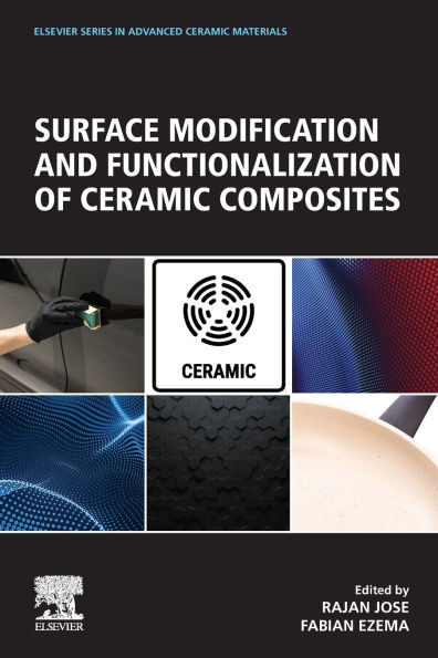 Surface Modification and Functionalization of Ceramic Composites