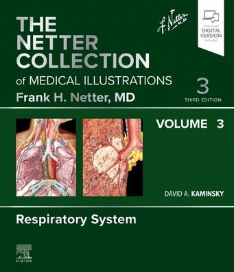 The Netter Collection of Medical Illustrations: Respiratory System, Volume 3