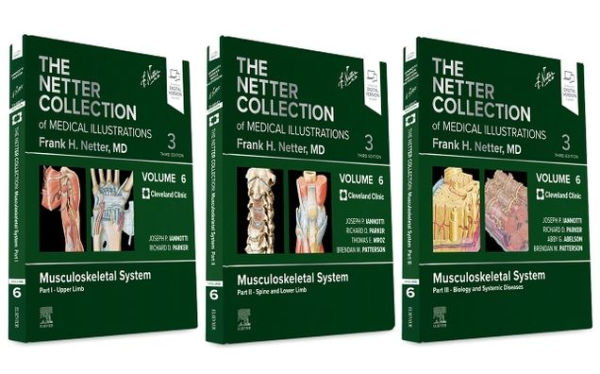 The Netter Collection of Medical Illustrations: Musculoskeletal System Package: Volume 6