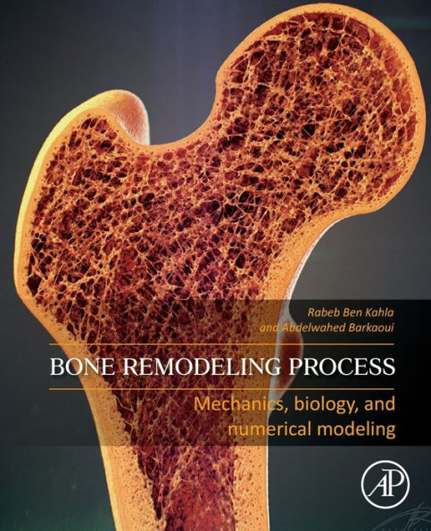 Bone Remodeling Process: Mechanics, Biology, and Numerical Modeling