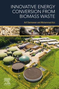 Title: Innovative Energy Conversion from Biomass Waste, Author: Arif Darmawan