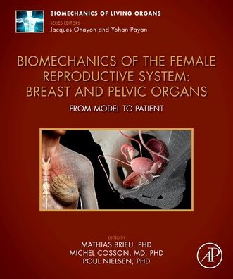 Biomechanics of the Female Reproductive System: Breast and Pelvic Organs: From Model to Patient