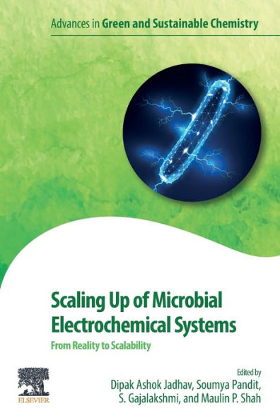 Scaling Up of Microbial Electrochemical Systems: From Reality to Scalability