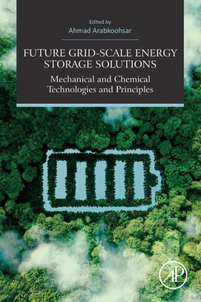 Future Grid-Scale Energy Storage Solutions: Mechanical and Chemical Technologies Principles