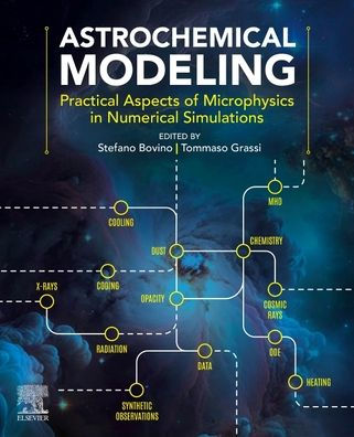 Astrochemical Modeling: Practical Aspects of Microphysics Numerical Simulations