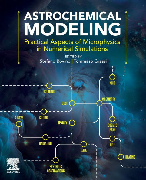 Astrochemical Modeling: Practical Aspects of Microphysics Numerical Simulations