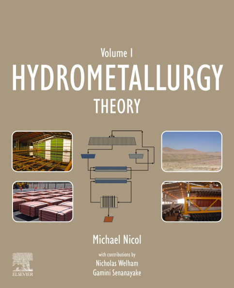 Hydrometallurgy: Theory