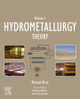 Hydrometallurgy: Theory