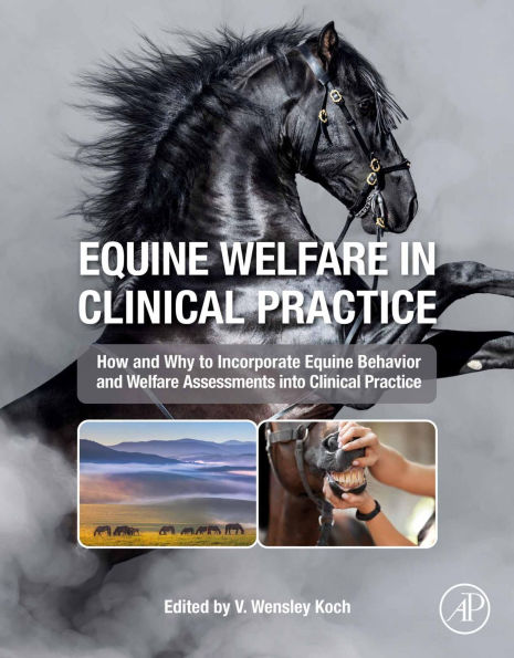 Equine Welfare in Clinical Practice
