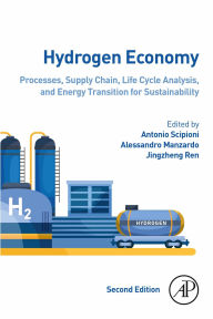Title: Hydrogen Economy: Processes, Supply Chain, Life Cycle Analysis and Energy Transition for Sustainability, Author: Antonio Scipioni