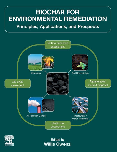 Biochar for Environmental Remediation: Principles, Applications, and Prospects
