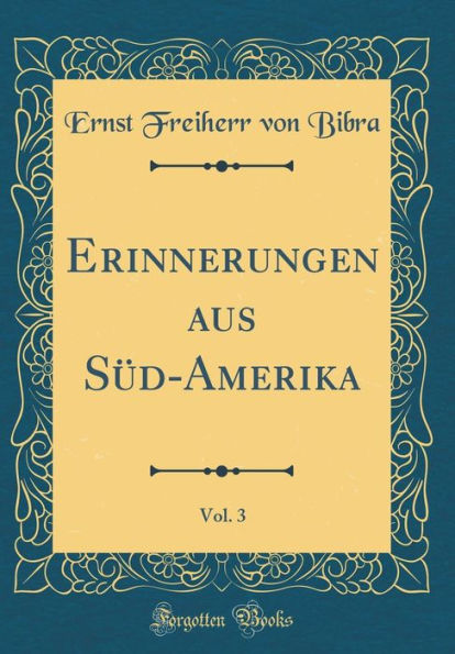 Erinnerungen aus Süd-Amerika, Vol. 3 (Classic Reprint)