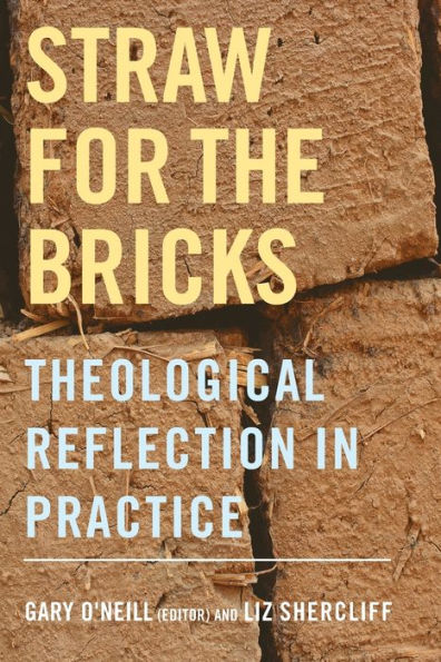Straw for the Bricks: Theological Reflection Practice