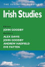 Irish Studies / Edition 1