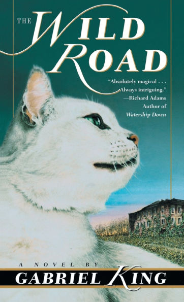 The Wild Road: A Novel