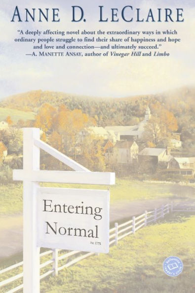 Entering Normal: A Novel