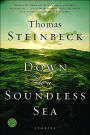 Down to a Soundless Sea