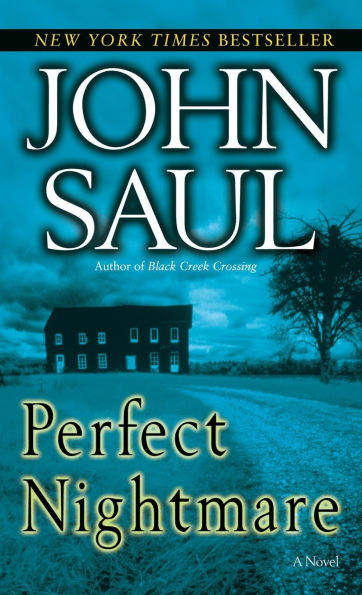 Perfect Nightmare: A Novel