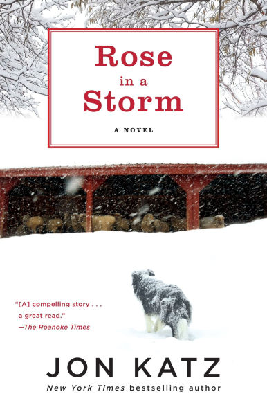 Rose A Storm: Novel