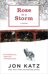Title: Rose in a Storm: A Novel, Author: Jon Katz