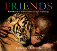 Title: Friends Board Book: True Stories of Extraordinary Animal Friendships, Author: Catherine Thimmesh