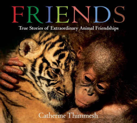 Friends Board Book: True Stories of Extraordinary Animal Friendships
