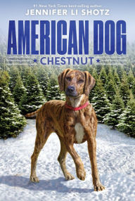 Online books free to read no download Chestnut by Jennifer Li Shotz 9780358108740 English version