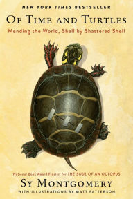 Audio book music download Of Time and Turtles: Mending the World, Shell by Shattered Shell