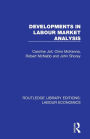 Developments in Labour Market Analysis / Edition 1