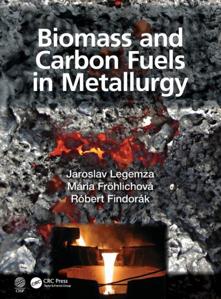 Biomass and Carbon Fuels in Metallurgy / Edition 1