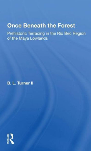 Once Beneath The Forest: Prehistoric Terracing In The Rio Bec Region Of The Maya Lowlands