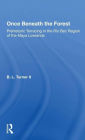 Once Beneath The Forest: Prehistoric Terracing In The Rio Bec Region Of The Maya Lowlands