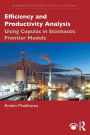 Efficiency and Productivity Analysis: Using Copulas in Stochastic Frontier Models