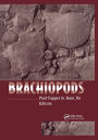 Brachiopods / Edition 1