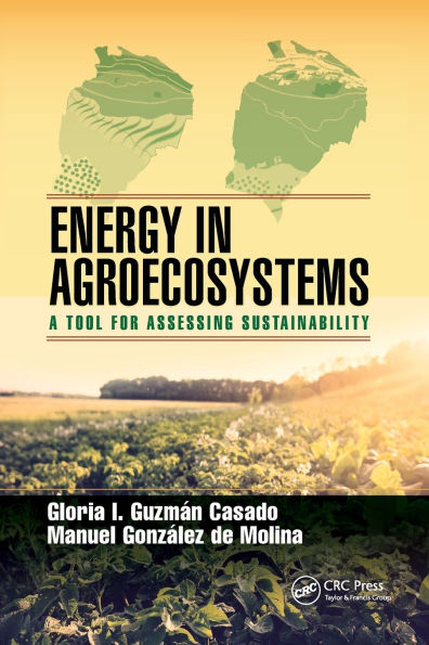 Energy Agroecosystems: A Tool for Assessing Sustainability