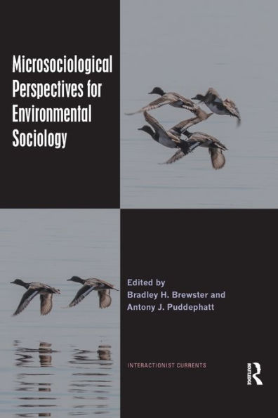Microsociological Perspectives for Environmental Sociology