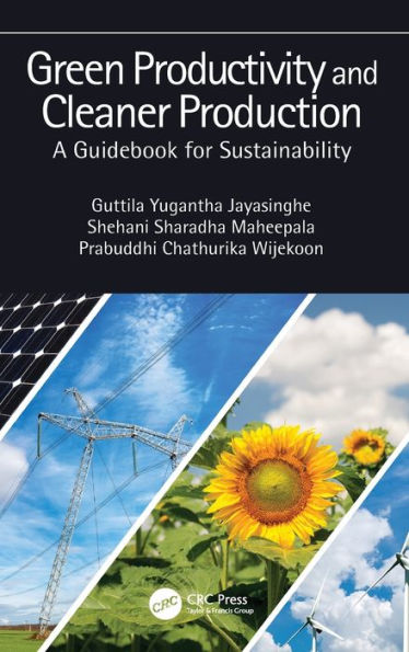 Green Productivity and Cleaner Production: A Guidebook for Sustainability / Edition 1