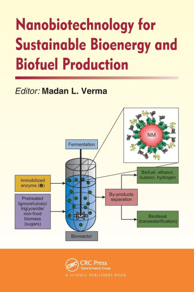 Nanobiotechnology for Sustainable Bioenergy and Biofuel Production