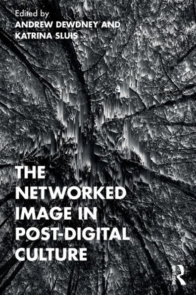 The Networked Image Post-Digital Culture