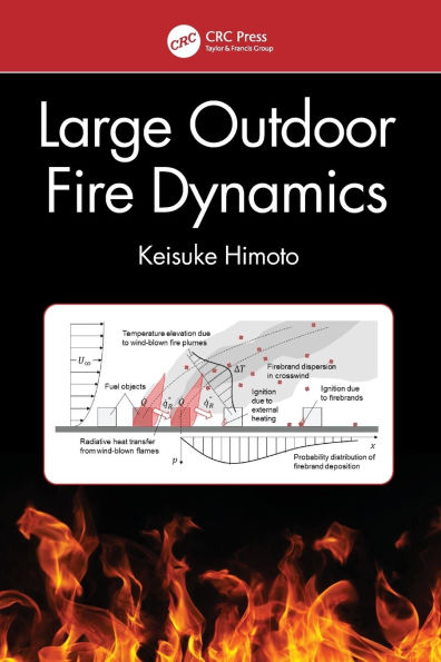 Large Outdoor Fire Dynamics