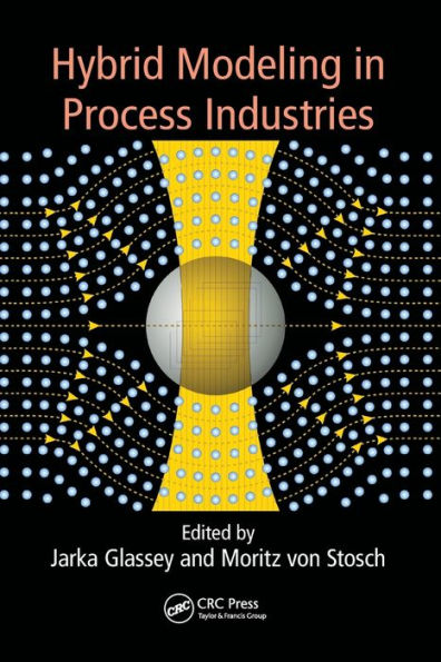 Hybrid Modeling Process Industries
