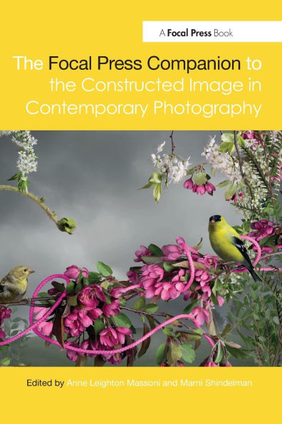 The Focal Press Companion to the Constructed Image in Contemporary Photography