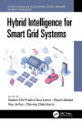 Hybrid Intelligence for Smart Grid Systems