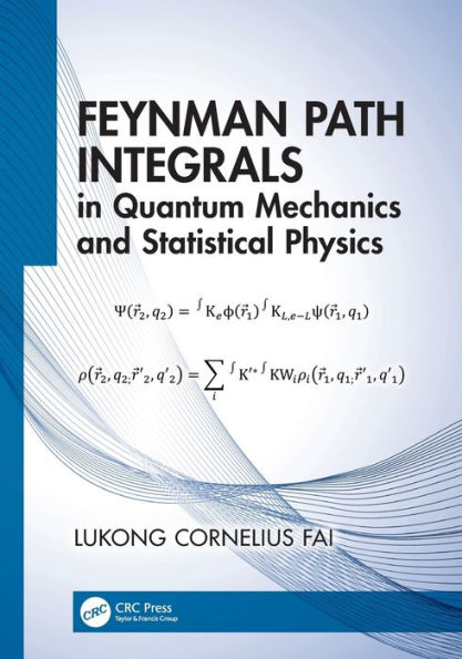 Feynman Path Integrals Quantum Mechanics and Statistical Physics