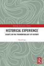 Historical Experience: Essays on the Phenomenology of History
