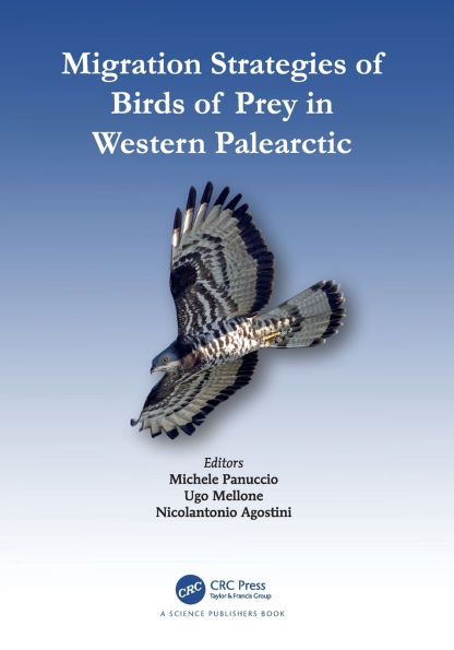 Migration Strategies of Birds Prey Western Palearctic