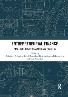 Entrepreneurial Finance: New Frontiers of Research and Practice / Edition 1