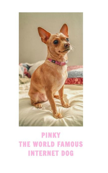 Pinky The Famous Internet Dog: THE DOG